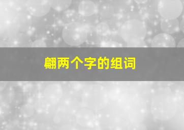 翩两个字的组词