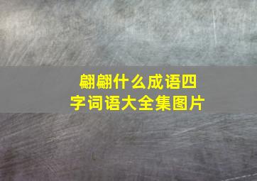 翩翩什么成语四字词语大全集图片