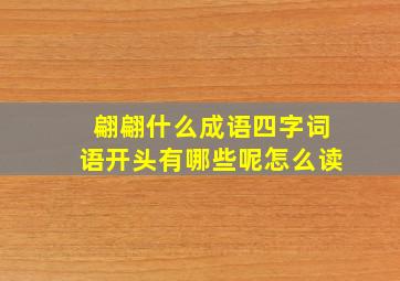 翩翩什么成语四字词语开头有哪些呢怎么读