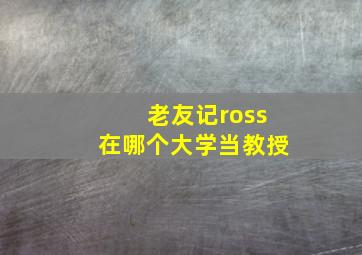 老友记ross在哪个大学当教授