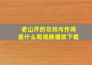 老山芹的功效与作用是什么呢视频播放下载