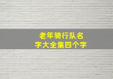 老年骑行队名字大全集四个字