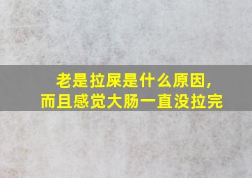 老是拉屎是什么原因,而且感觉大肠一直没拉完