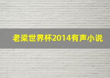 老梁世界杯2014有声小说