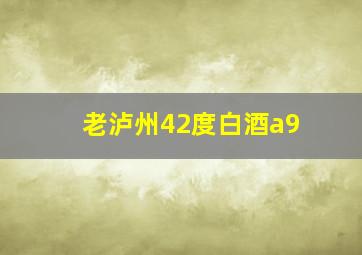 老泸州42度白酒a9