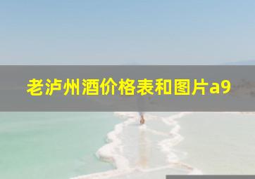 老泸州酒价格表和图片a9