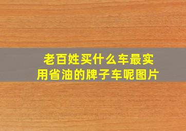 老百姓买什么车最实用省油的牌子车呢图片