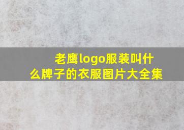 老鹰logo服装叫什么牌子的衣服图片大全集