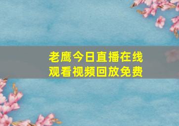 老鹰今日直播在线观看视频回放免费