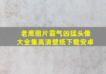 老鹰图片霸气凶猛头像大全集高清壁纸下载安卓