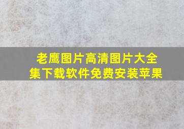 老鹰图片高清图片大全集下载软件免费安装苹果