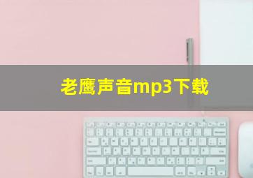 老鹰声音mp3下载