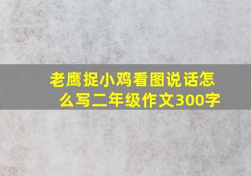 老鹰捉小鸡看图说话怎么写二年级作文300字