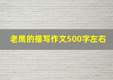 老鹰的描写作文500字左右