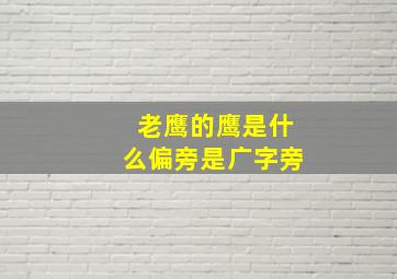 老鹰的鹰是什么偏旁是广字旁