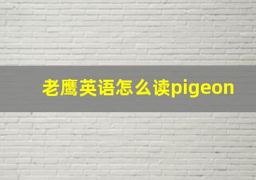 老鹰英语怎么读pigeon