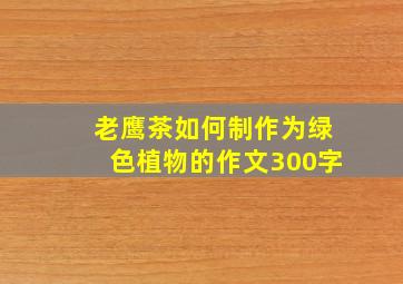 老鹰茶如何制作为绿色植物的作文300字