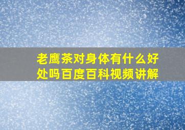 老鹰茶对身体有什么好处吗百度百科视频讲解