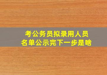 考公务员拟录用人员名单公示完下一步是啥