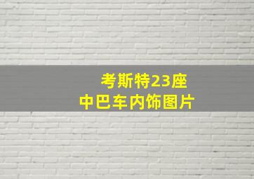 考斯特23座中巴车内饰图片