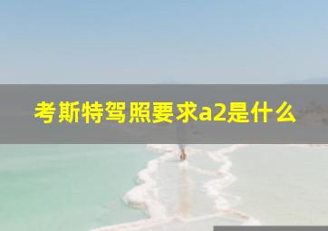 考斯特驾照要求a2是什么