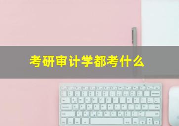 考研审计学都考什么