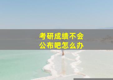 考研成绩不会公布吧怎么办