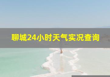 聊城24小时天气实况查询