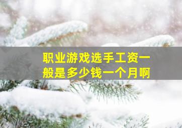 职业游戏选手工资一般是多少钱一个月啊