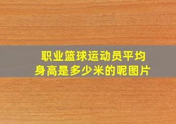 职业篮球运动员平均身高是多少米的呢图片