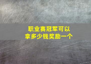 职业赛冠军可以拿多少钱奖励一个