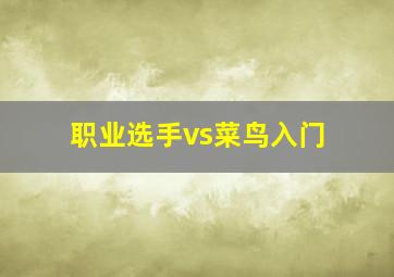 职业选手vs菜鸟入门