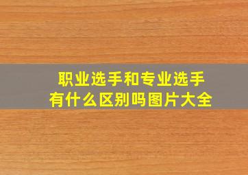 职业选手和专业选手有什么区别吗图片大全