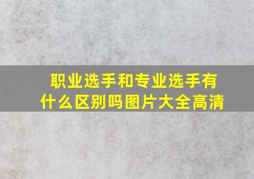 职业选手和专业选手有什么区别吗图片大全高清