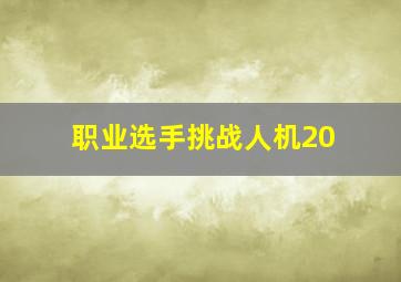 职业选手挑战人机20