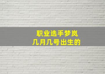 职业选手梦岚几月几号出生的