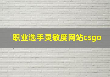 职业选手灵敏度网站csgo