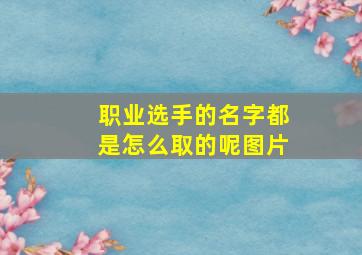 职业选手的名字都是怎么取的呢图片