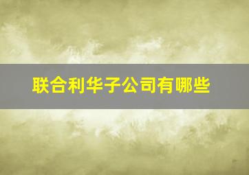 联合利华子公司有哪些