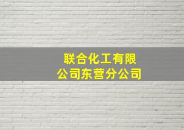 联合化工有限公司东营分公司