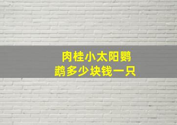 肉桂小太阳鹦鹉多少块钱一只