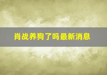 肖战养狗了吗最新消息