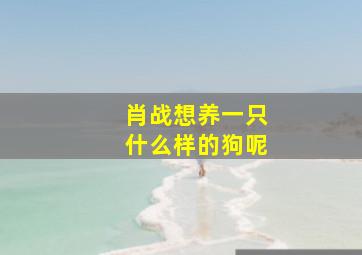 肖战想养一只什么样的狗呢