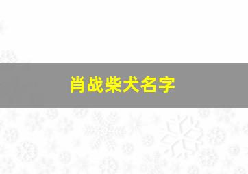 肖战柴犬名字