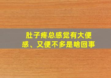 肚子疼总感觉有大便感、又便不多是啥回事