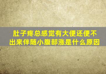 肚子疼总感觉有大便还便不出来伴随小腹部涨是什么原因