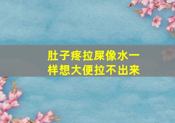 肚子疼拉屎像水一样想大便拉不出来