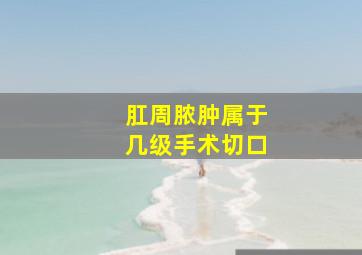 肛周脓肿属于几级手术切口