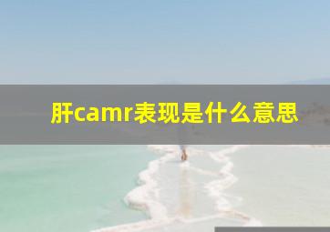 肝camr表现是什么意思