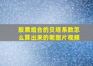 股票组合的贝塔系数怎么算出来的呢图片视频